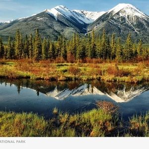 Meet your Posher, Loise